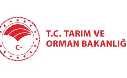 SON DAKİKA: Tarım ve Orman Bakanlığı 200 Sözleşmeli Personel Alımı İlanı Yayımladı