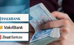 Halkbank, Vakıfbank ve Ziraat Bankası Kredi Verecek